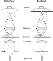Figure 12.