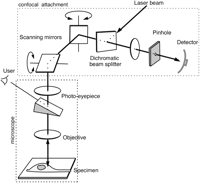 Figure 13.