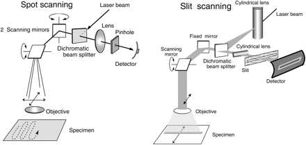 Figure 14.