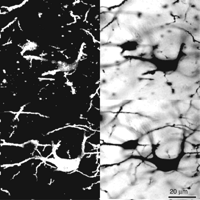 Figure 16.