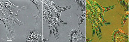 Figure 17.
