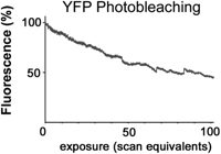 Figure 19.