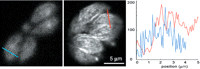 Figure 22.