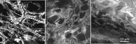 Figure 24.