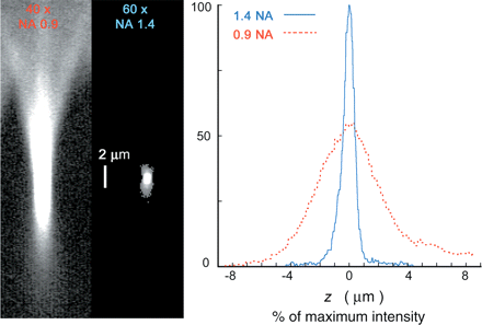 Figure 30.
