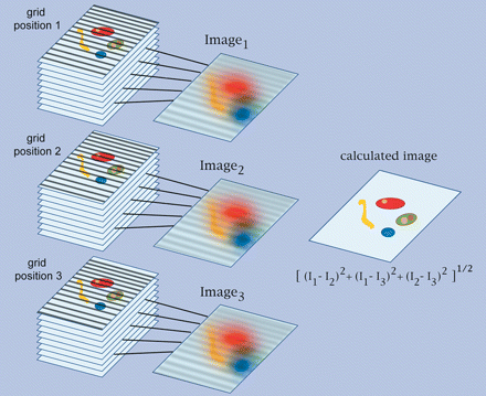 Figure 31.