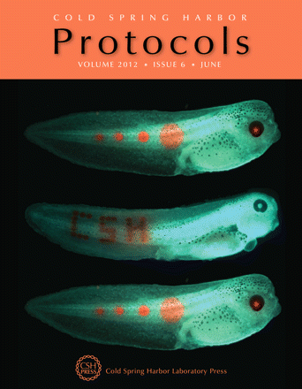 Cover image expansion