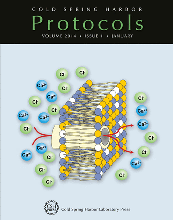 Cover image expansion