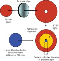 Figure 10.