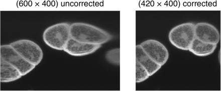 Figure 6.