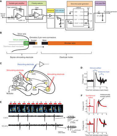 FIGURE 3.