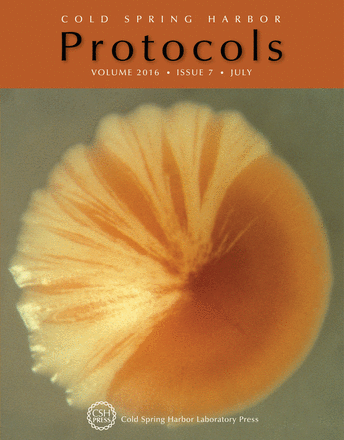 Cover image expansion