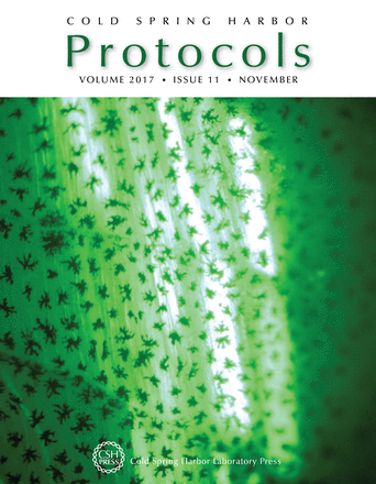 Cover image expansion