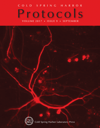 Cover image expansion