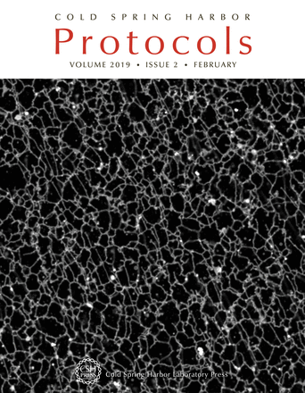 Cover image expansion