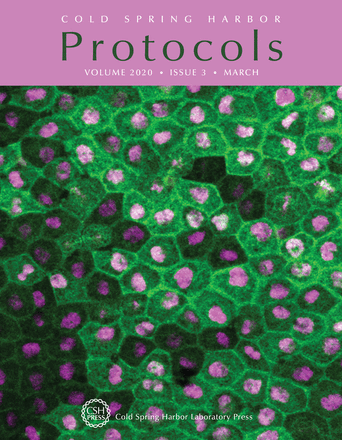 Cover image expansion