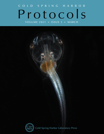 Cover image expansion