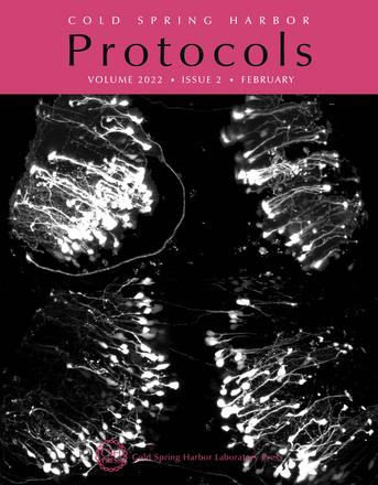 Cover image expansion