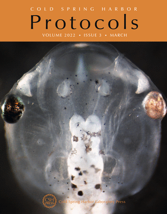 Cover image expansion