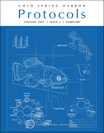 Cover image expansion