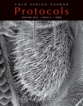 Cover image expansion