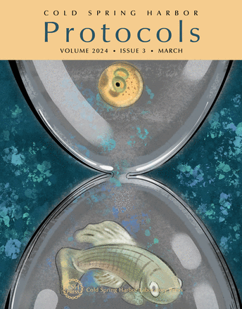 Cover image expansion