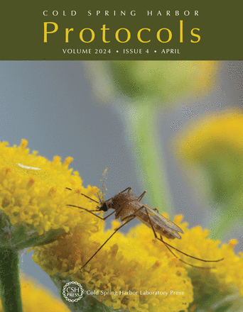 Cover image expansion