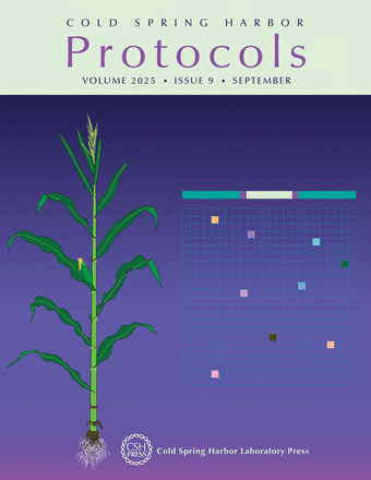 Cover image expansion