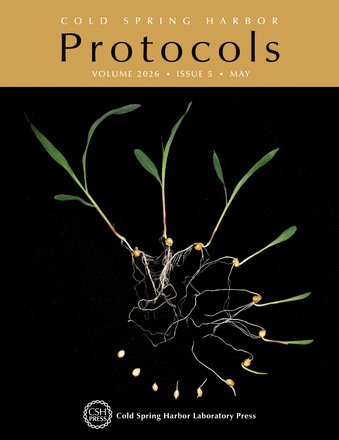 Cover image expansion